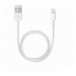 Câble Lightning vers USB (1 m)