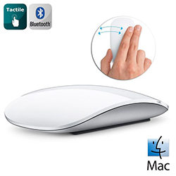 Apple souris Magic Mouse Bluetooth MB829Z/A