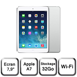 apple ipad mini 2 argent