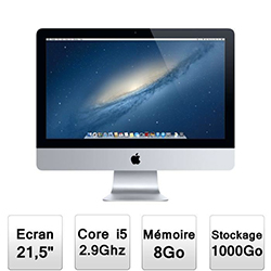 AppleTout En Un iMac 21,5